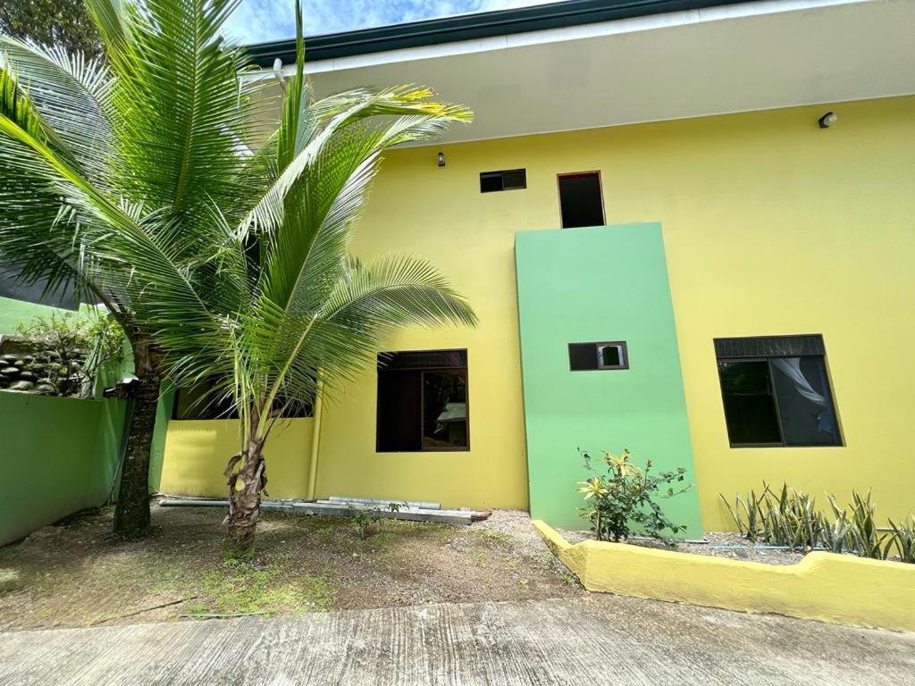 קפוס Yellow House מראה חיצוני תמונה